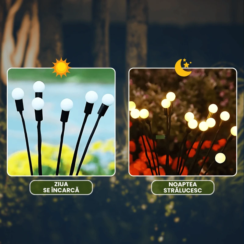 SET 2 LICURICI LED 5