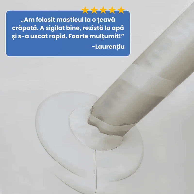 MASTIC ETANSARE 7