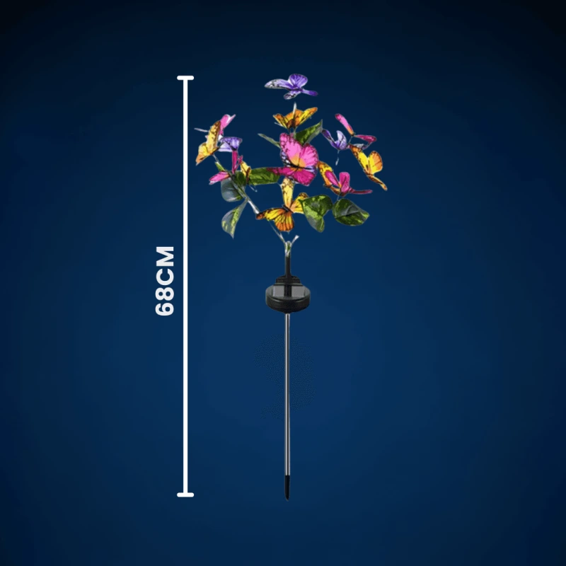 FLUTURI LUMINOSI 7