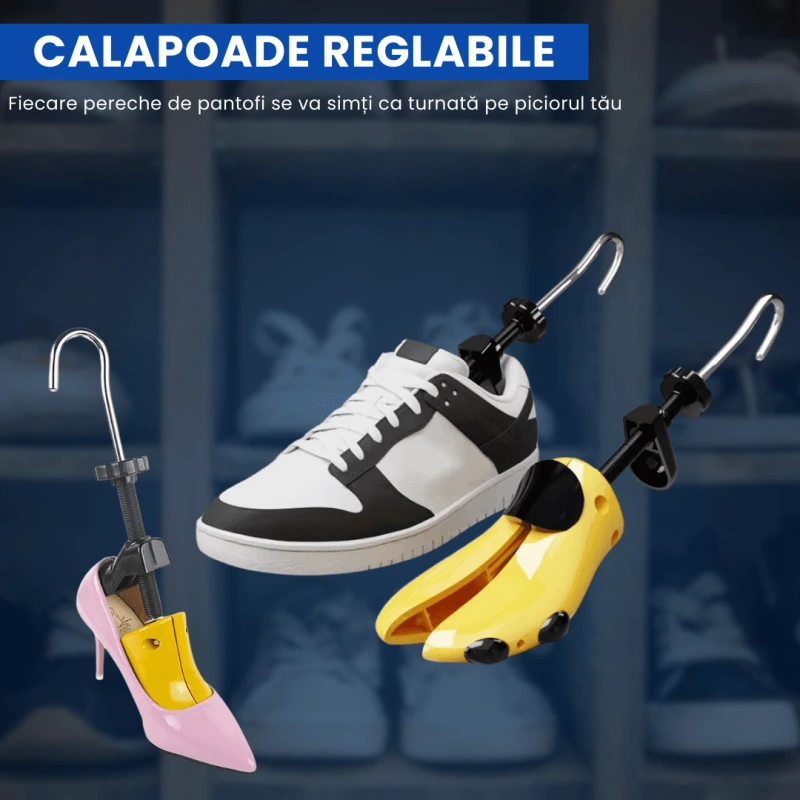 CALAPOADE UNIVERSALE 6