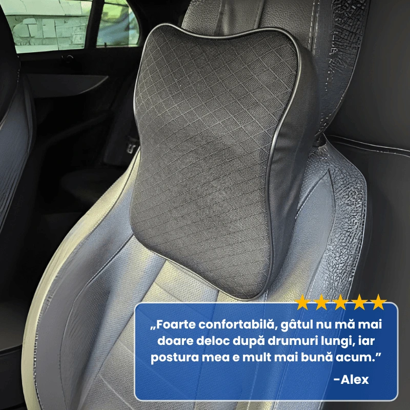 PERNA ERGONOMICA MASINA 6