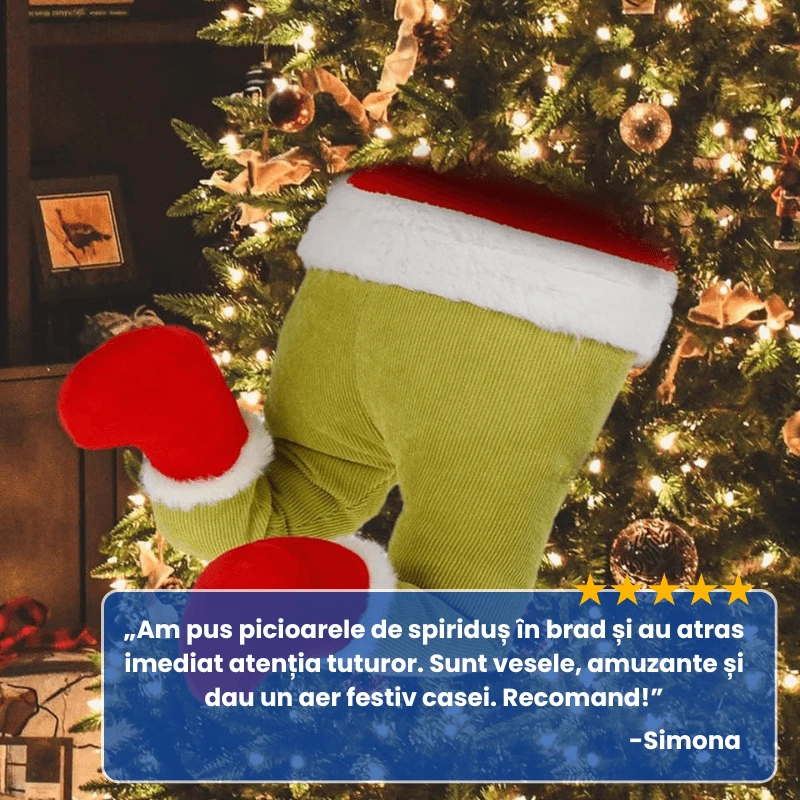 PICIOARE SPIRIDUS 6