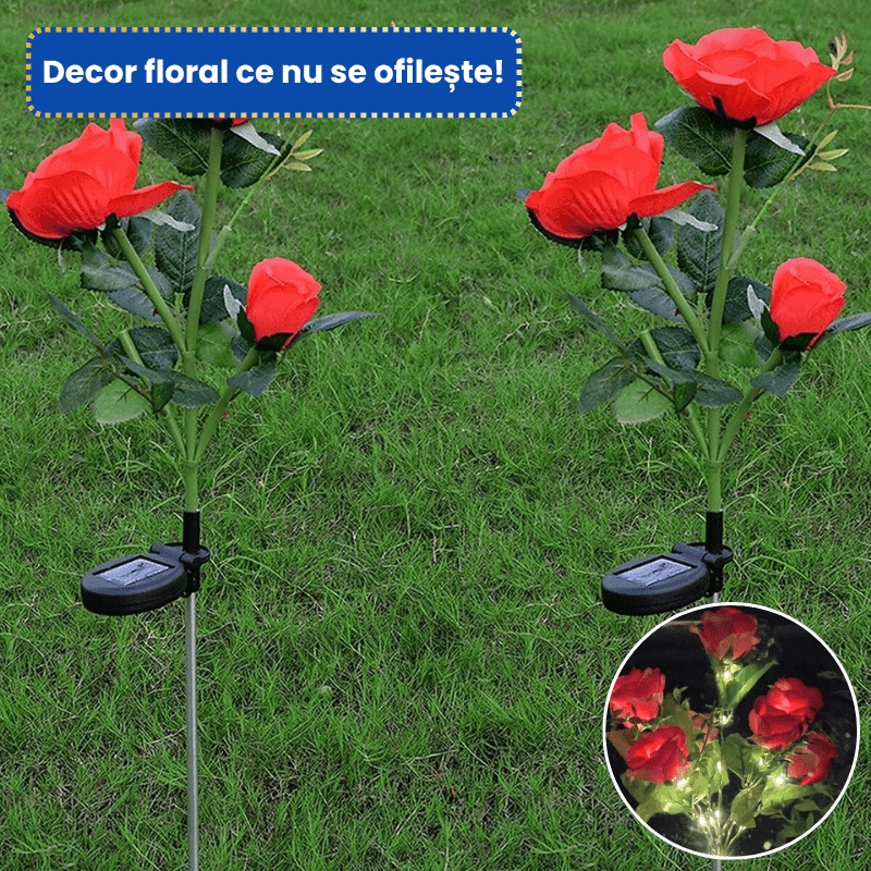 TRANDAFIRI LED 5