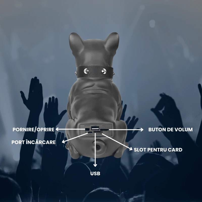 BOXA BULLDOG 6