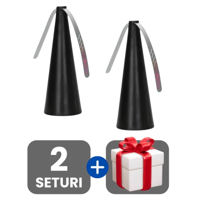 2 bucati