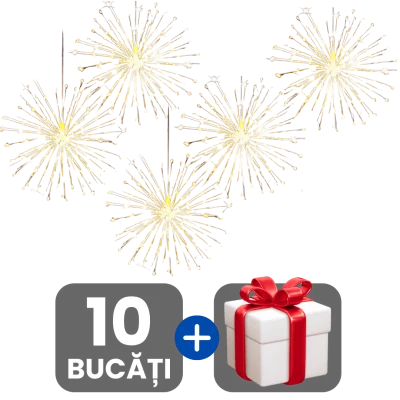 2 bucati
