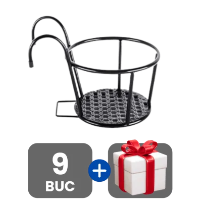 3 bucati