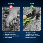 UNEALTA BURUIENI 6