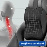 PERNA ERGONOMICA MASINA 5
