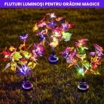 FLUTURI LUMINOSI 6