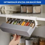 ORGANIZATOR GLISANT CONDIMENTE 6