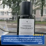 DIFUZOR PARFUM AUTO 6