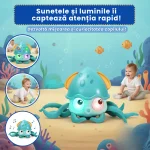 CARACATITA MUZICA LUMINI 5