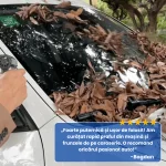 SUFLANTA DE AER 7