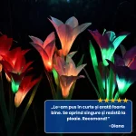 SET 2 FLORI SOLARE 7