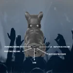 BOXA BULLDOG 6